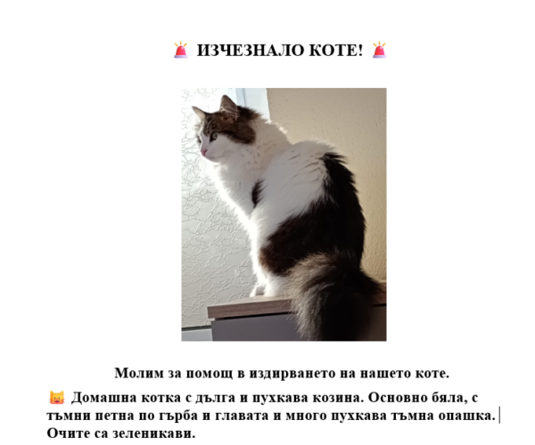Молим за помощ в издирването на нашето коте. Търси-се1