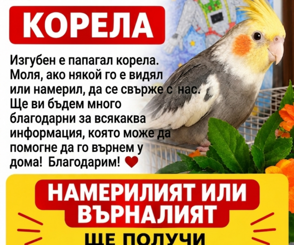 2742