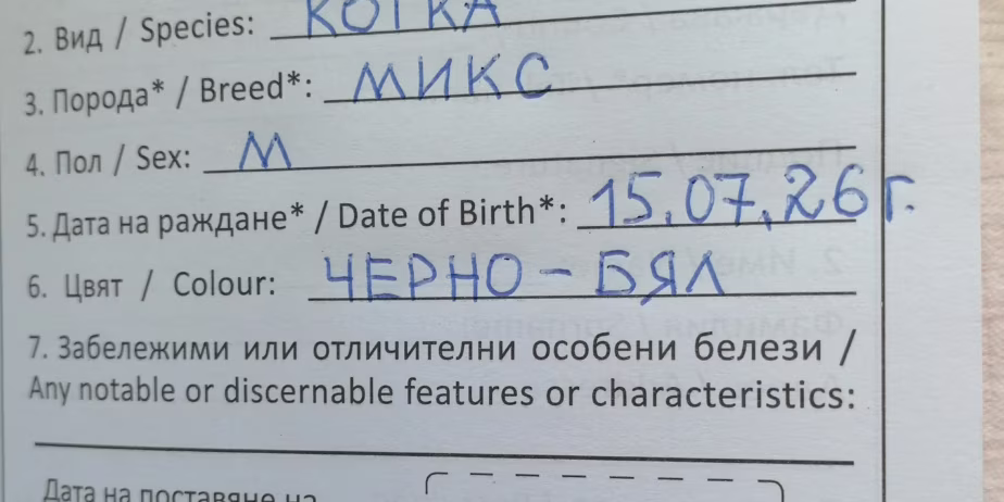 Passport1