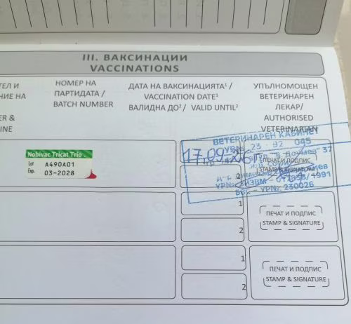 Passport2