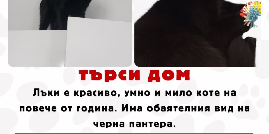 758245348_27671681952497905_7683953886219051406_n